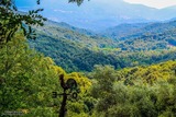 View - Cardo Torgia