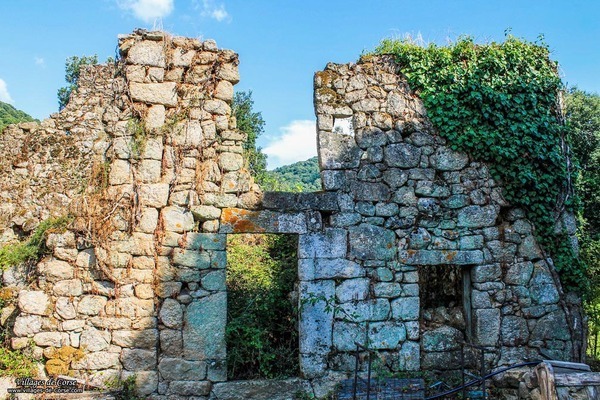 Ruine - Cardo Torgia