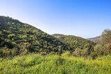 Berg - Cognocoli Monticchi