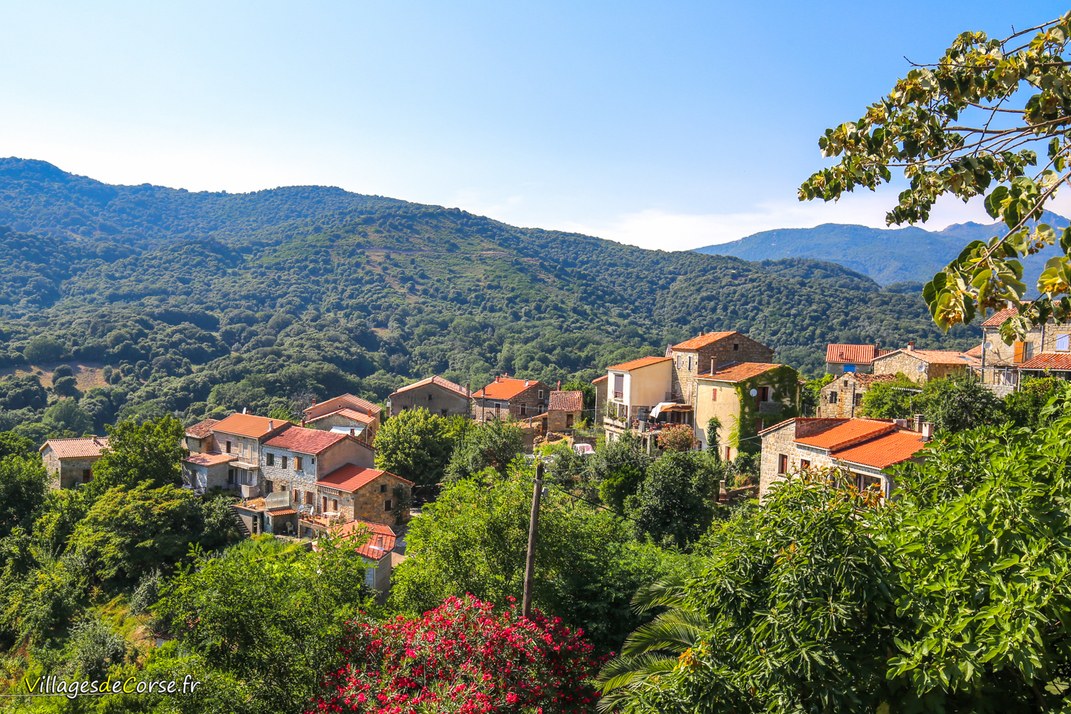 Village - Forciolo