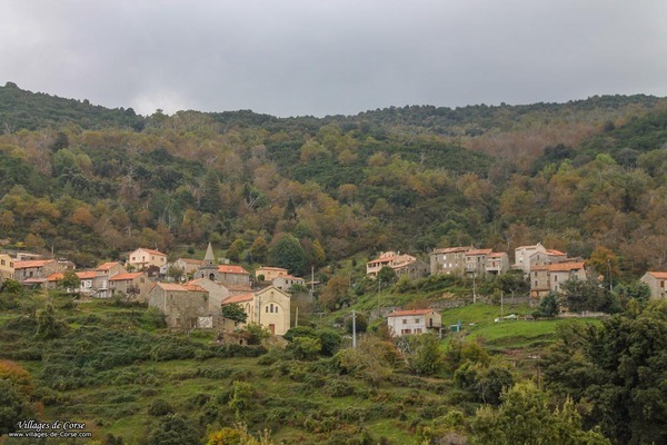 Village - Frasseto