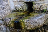 Fountain - Guargualé