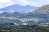 Dorf - Moca Croce