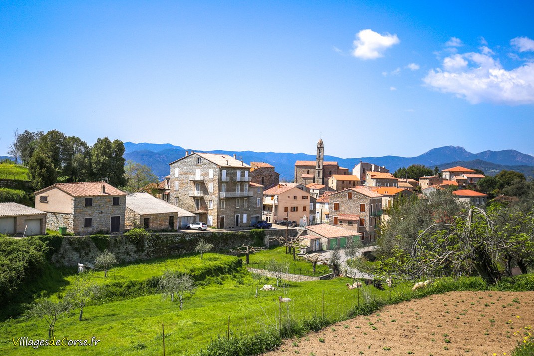Village - Moca Croce