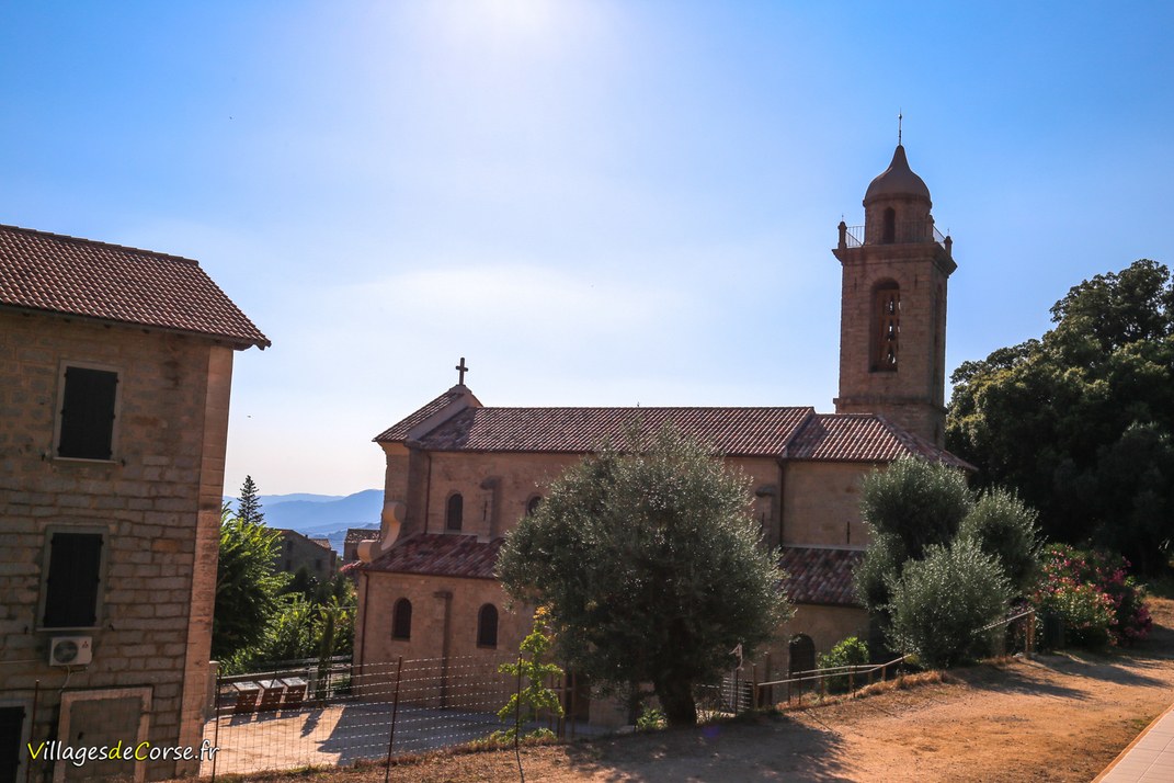 Eglises - Saint Augustin - Olivese