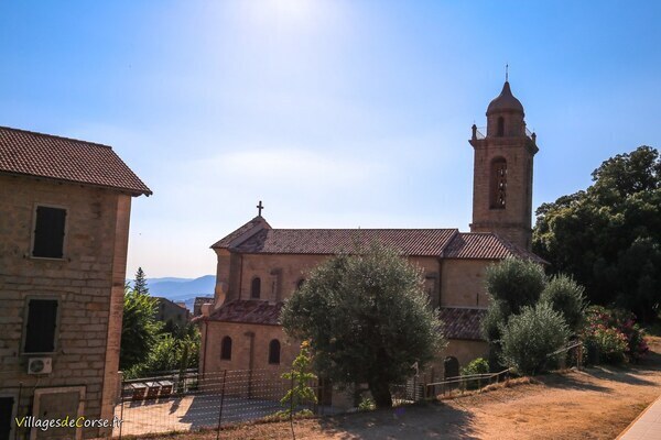 Eglise - Saint Augustin - Olivese