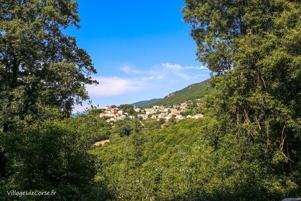 Village - Olivese