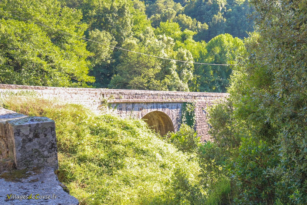 Pont - Olivese
