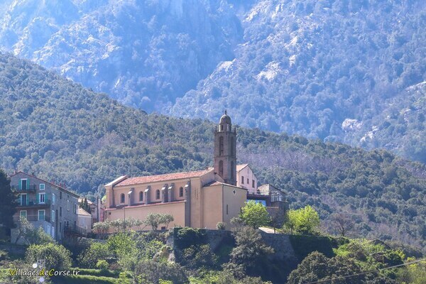 Eglise - Saint Nicolas - Petreto Bicchisano