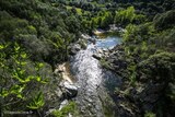 Fleuve - Taravo - Petreto Bicchisano