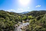 Fleuve - Taravo - Petreto Bicchisano