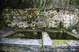 Wash - Pietrosella