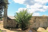 Eglise Romane - Santa Maria Siché