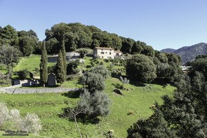 Village - Zigliara