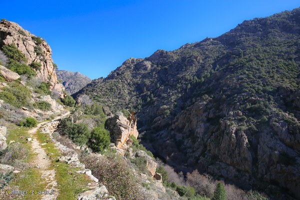 Randonnée : Scala di Santa Regina, Corscia - Corse