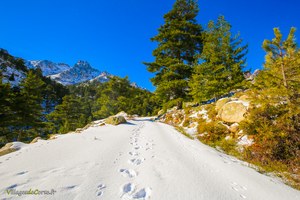 Schäferei U Vallone in Calasima