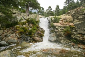 Randonnée à la Cascade des Anglais à Vivario