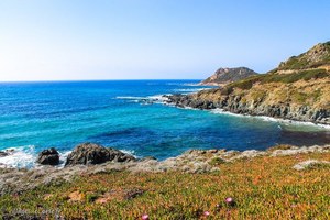 Sentier des douaniers à Ajaccio