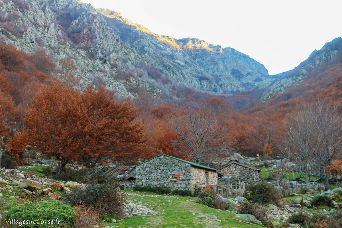Capiaghja Sheepfold in Bocognano - Southern Corsica