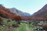 Capiaghja Sheepfolds