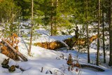 Hiking - Bergeries U Vallone