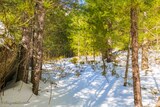 Wandern - Bergeries U Vallone