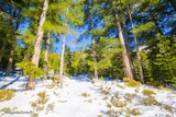 Hiking - Bergeries U Vallone