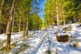 Wandern - Bergeries U Vallone