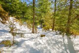 Hiking - Bergeries U Vallone