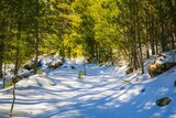 Wandern - Bergeries U Vallone