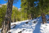 Wandern - Bergeries U Vallone