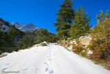 Wandern - Bergeries U Vallone