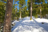 Hiking - Bergeries U Vallone