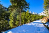 Wandern - Bergeries U Vallone