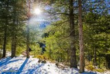 Wandern - Bergeries U Vallone