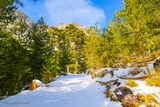 Hiking - Bergeries U Vallone