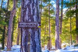 Hiking - Bergeries U Vallone