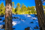 Wandern - Bergeries U Vallone