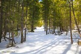 Wandern - Bergeries U Vallone