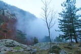 Foggy Corsican Mountain