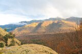 Wald von Vizzavona im Herbst