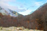 Vizzavona Forest in Autumn