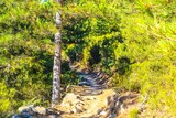 Hiking trail Creno Lake orto soccia