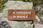 A surgente di Natale