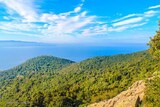 Ajaccio English Wood