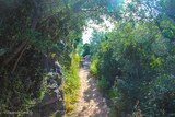 Sentier des cretes ajaccio 2