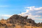 Vetta del Monte Aragnascu a Cuttoli Corticchiato