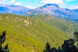 Tartavello forest in Vero