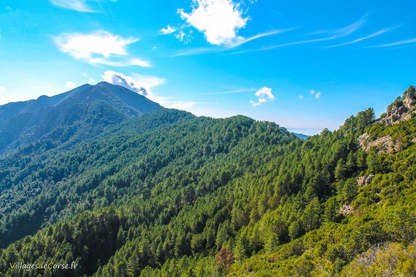 Wandern im Wald von Tartavello und auf der Punta Sant Eliseo