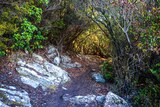 Corsican hike